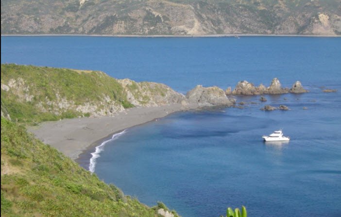 Breaker Bay , , New Zealand